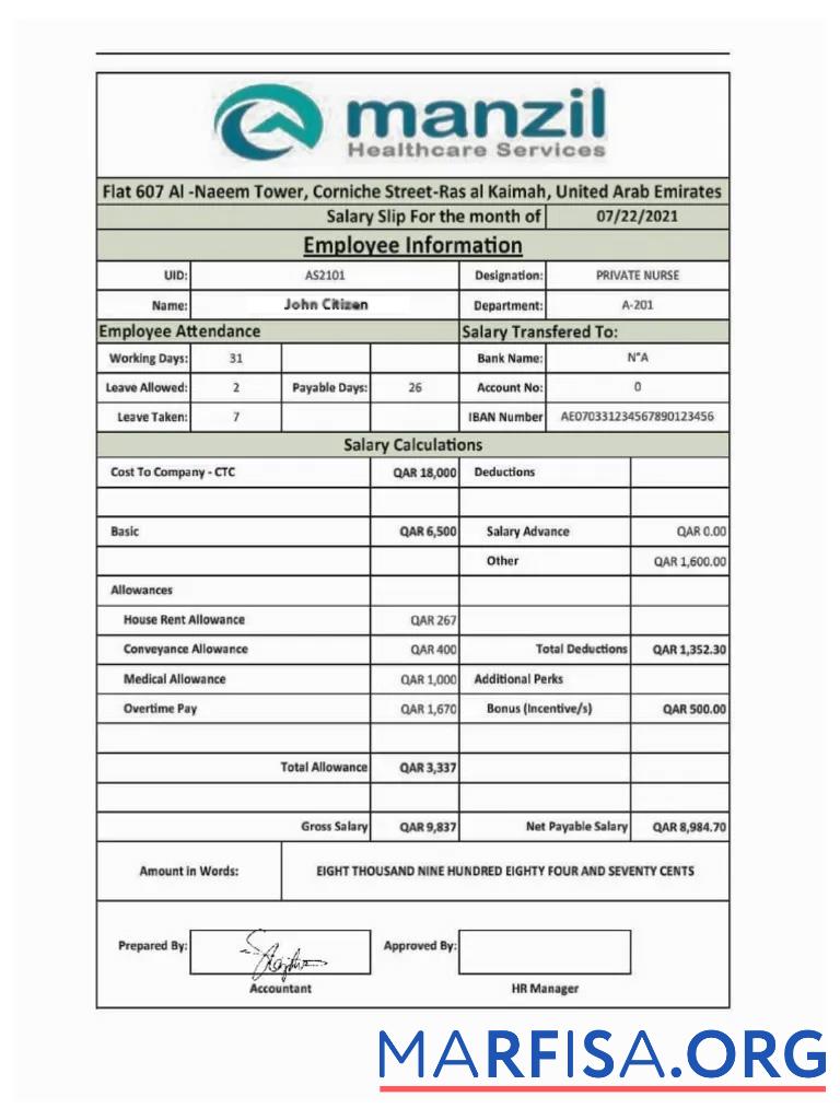 Printable UAE Manzil Healthcare Services salary slip example
